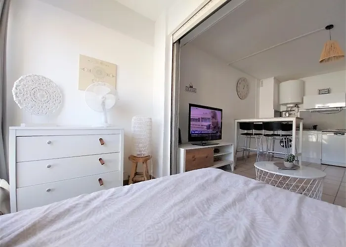 Les Pieds Dans L'eau Au Cap D'agde Daire Agde