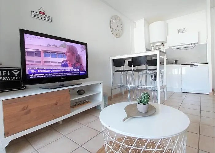 Daire Les Pieds Dans L'eau Au Cap D'agde Agde