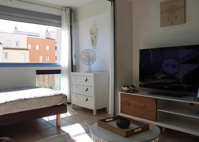 Daire Les Pieds Dans L'eau Au Cap D'agde